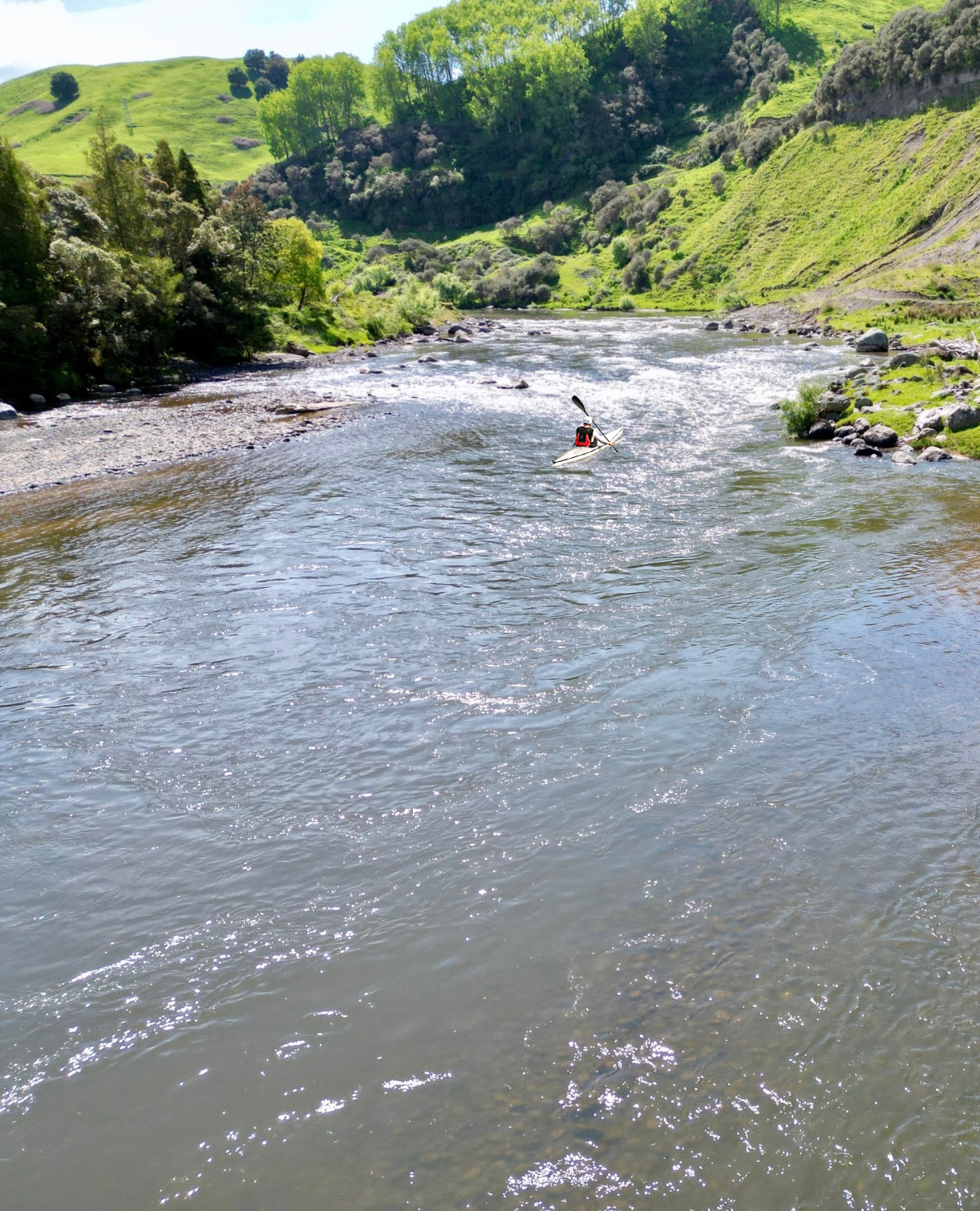 Whanagnui River Kayak Tour