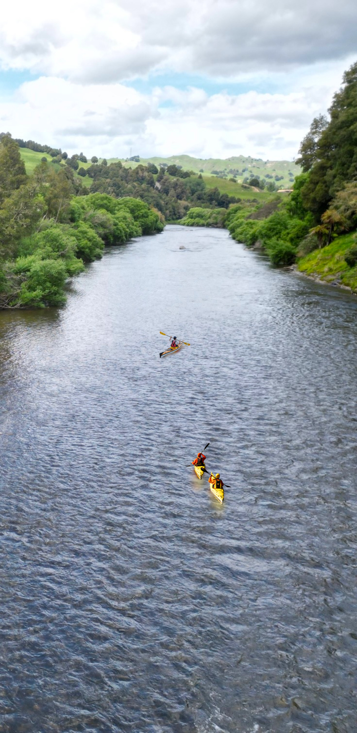 Whanagnui River Kayak Tour