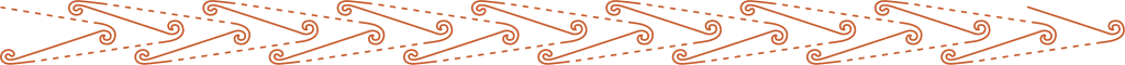 Waka Ama SNM pattern