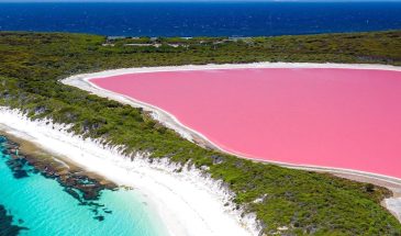 Natural Wonders of New Zealand