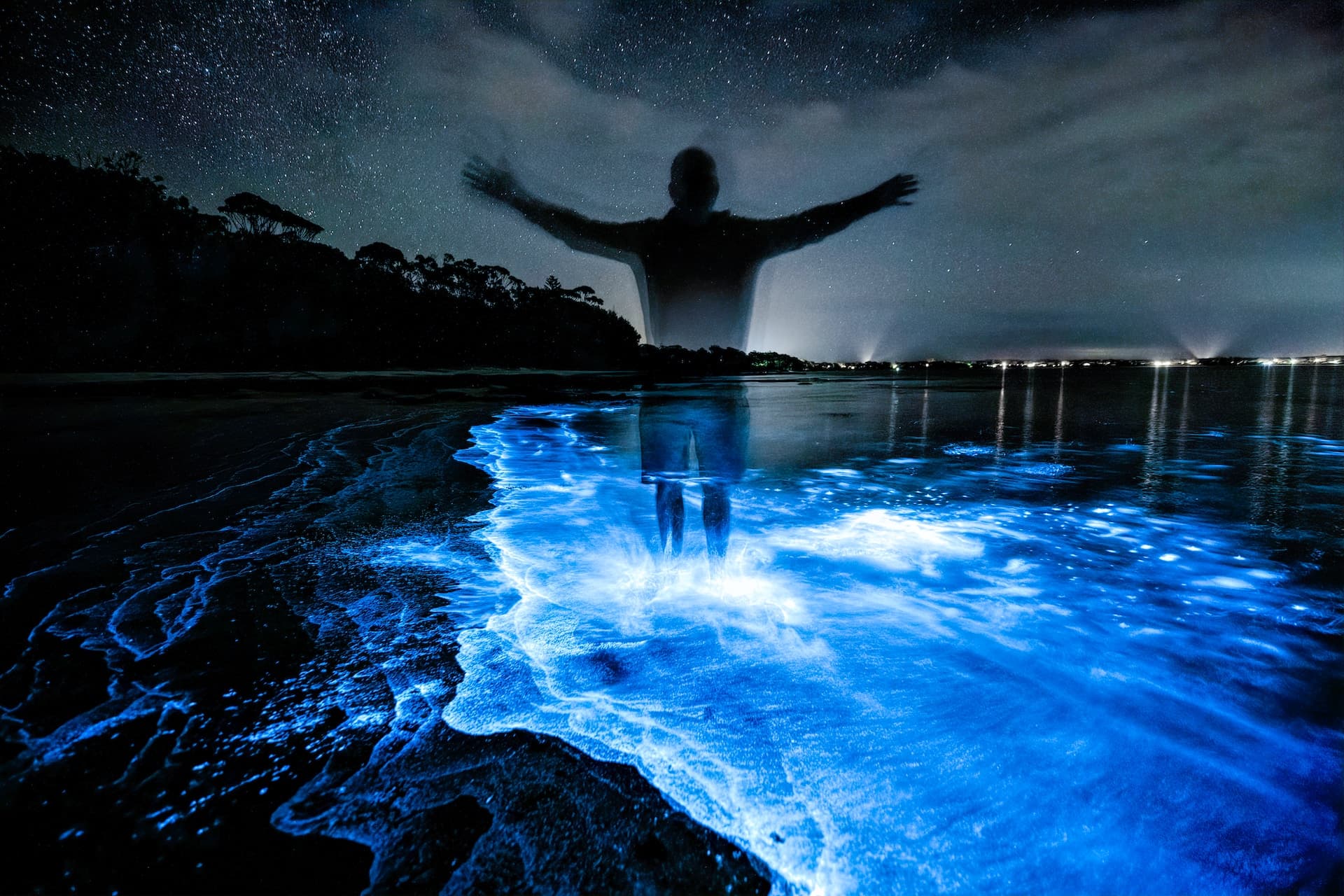 Auckland Bioluminescence Stanmore Bay