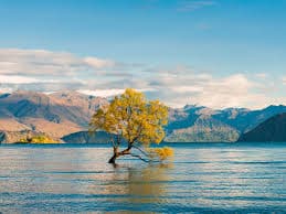 Lake Wanaka