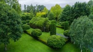 The Tree Church