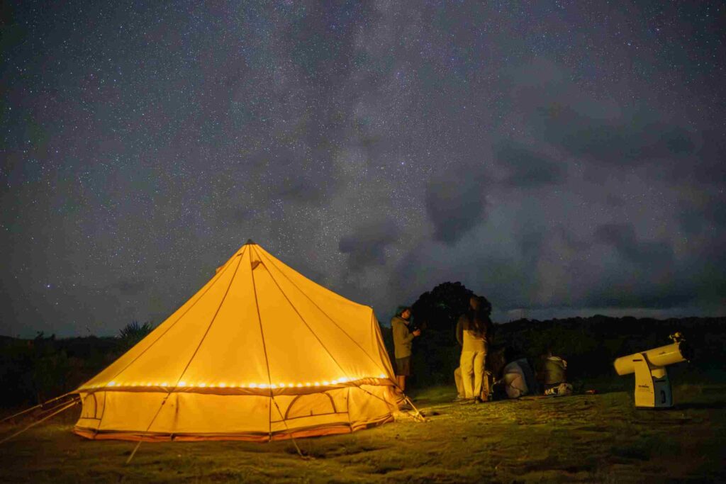 Social-Nature-Movement-Image-FINAL-8-1024x683