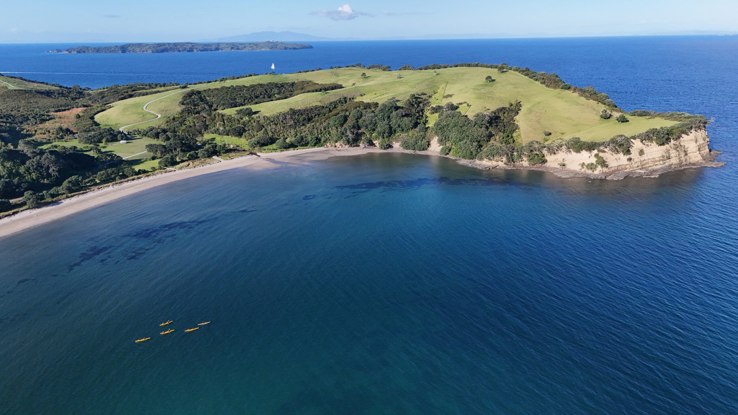 Tiritiri Matangi Island
