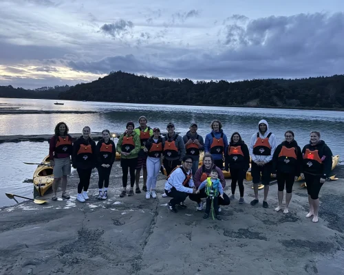 auckland bioluminescence kayak tour