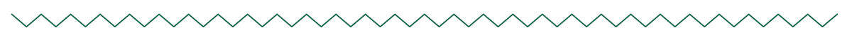 SNM Linear Patterns Forest Copy