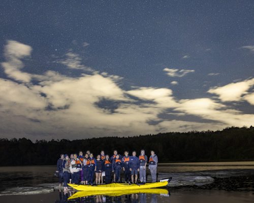 Auckland Bioluminescence Kayak Tour