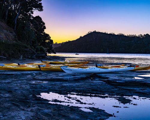 Auckland Bioluminescence Kayak Tour